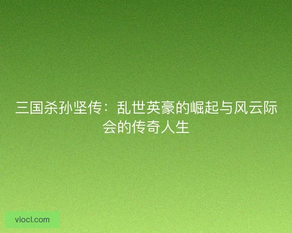 三国杀孙坚传：乱世英豪的崛起与风云际会的传奇人生