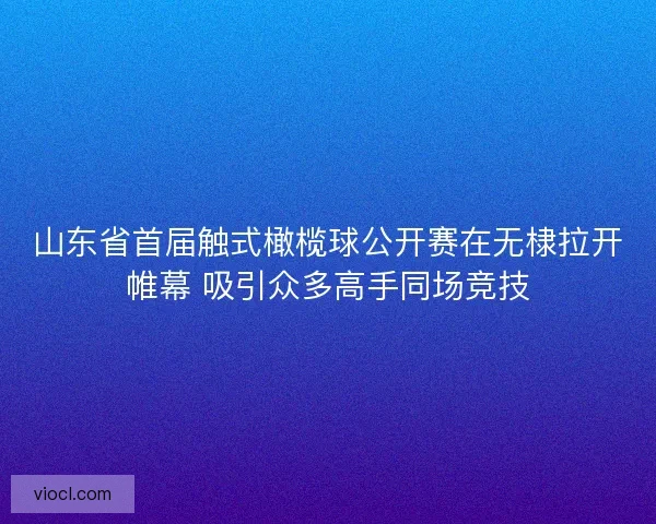 山东省首届触式橄榄球公开赛在无棣拉开帷幕 吸引众多高手同场竞技